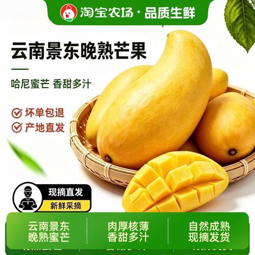 云南晚熟甜芒果新鲜大芒果现摘当季热带水果皮薄9斤蜜芒晚熟芒果