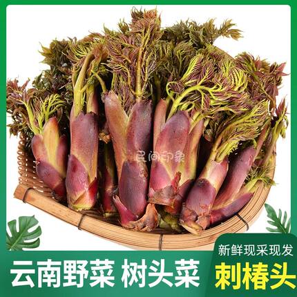 2026年云南野生刺椿头嫩芽新鲜树头菜苞菜老芽苞野菜5斤航空