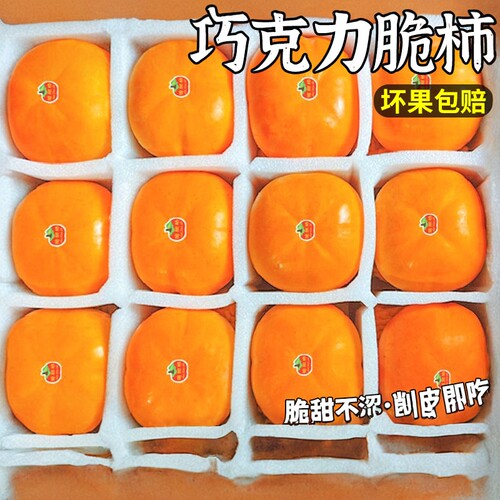 顺丰精品大果 广西脆巧克力柿子冷冻水果冰糖心当季现摘现发整箱5
