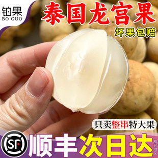 顺丰速达 5斤泰国进口龙宫果新鲜热带龙贡果应季高端品种整箱