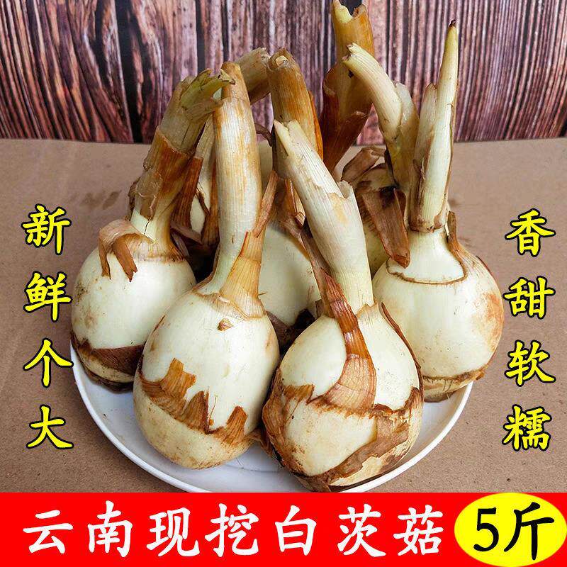 云南新鲜白慈姑茨菰茨菇白马蹄鲜慈姑5斤粉糯荸荠新鲜蔬菜