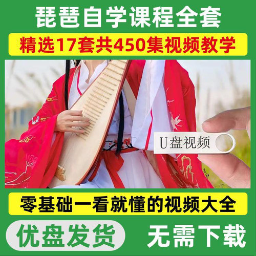 琵琶视频教程零基础自学新手入门