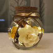 干花包玻璃瓶带木塞永生花家居摆件天然松果干果实拍摄道具星星瓶