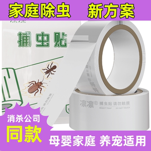 捕虫贴爬虫粘贴胶带蟑螂屋蜈蚣杀虫剂灭蟑螂蟑螂药无毒家用全窝端