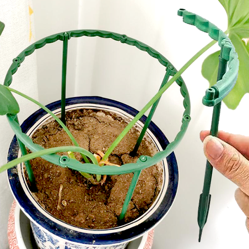 植物支撑杆园艺支架花架月季爬藤支架室内阳台户外蟹爪兰固定支架,鲜花速递/花卉仿真/绿植园艺,花架,淘宝优惠券,粉丝福利购,淘宝优惠卷