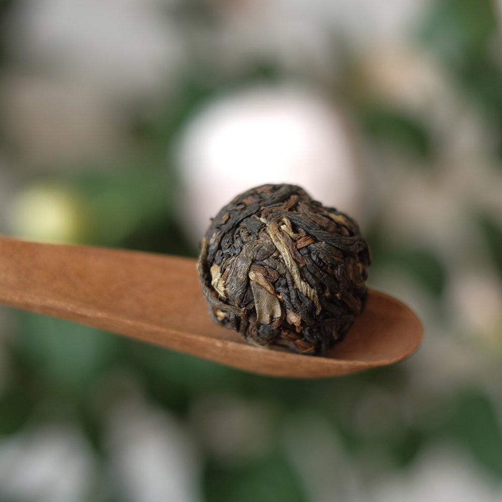 龙珠山茶云南临沧50g古树纯料