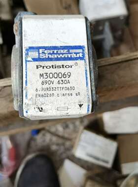 {议价}罗兰熔断器m300069  690V 630A。。27个按个