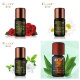 纯单方按摩油补水 GABRY嘉柏俪精油玫瑰 依兰 洋甘菊 10ml 茉莉