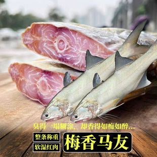 省港澳地道梅香马友咸鱼广东酶香特产全梅软肉松粉红肉鱼整条称重