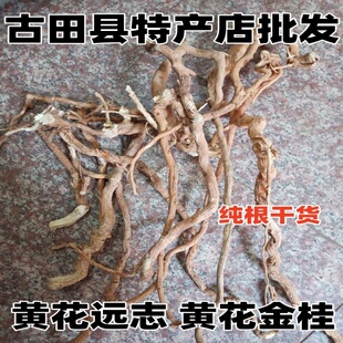 福建野生黄花金桂 黄花金贵 黄花金龟黄花远志 纯根干货250克包邮