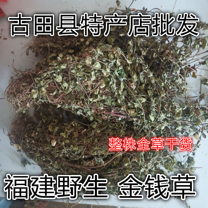 野生金钱草 落地金钱 铜钱草 化石茶结石排出石 整株全草干货包邮