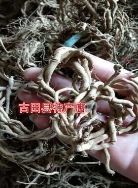 野生独一味野生马兜铃