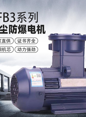 YFB3新大力粉尘防爆电动机隔爆三相380v铜芯国标马达防爆等级IP65