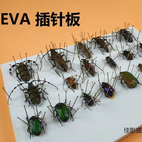 高密度EVA板昆虫蝴蝶标本插针板展足板展翅板整姿板泡沫板