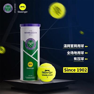 Slazenger温网认证网球训练球4粒