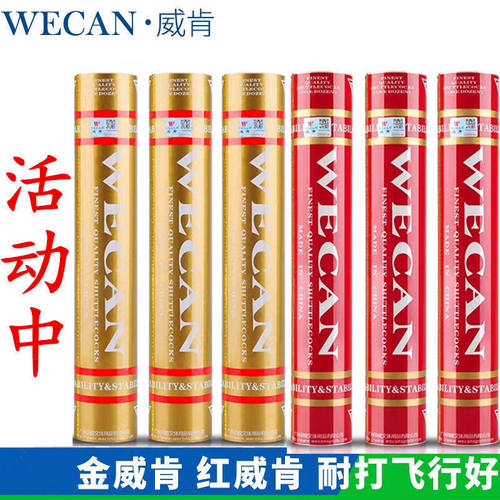 金威肯WECAN蓝银红羽毛球比赛