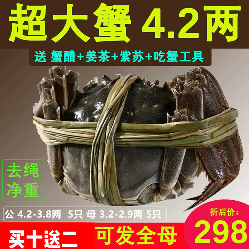 武汉大闸蟹梁子湖附近螃蟹可全母