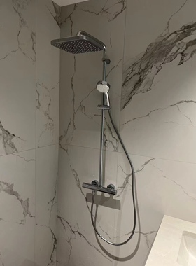 高仪26689000 250mm方顶喷 原装进口来着欧陆