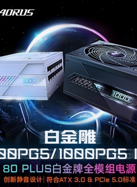 技嘉白金雕AE1000PM PG5 ATX3.0 白金认证全模组1000W台式机电源
