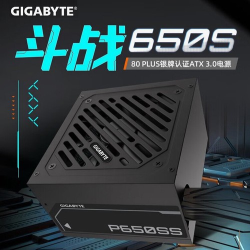 银牌非模组Gigabyte/技嘉