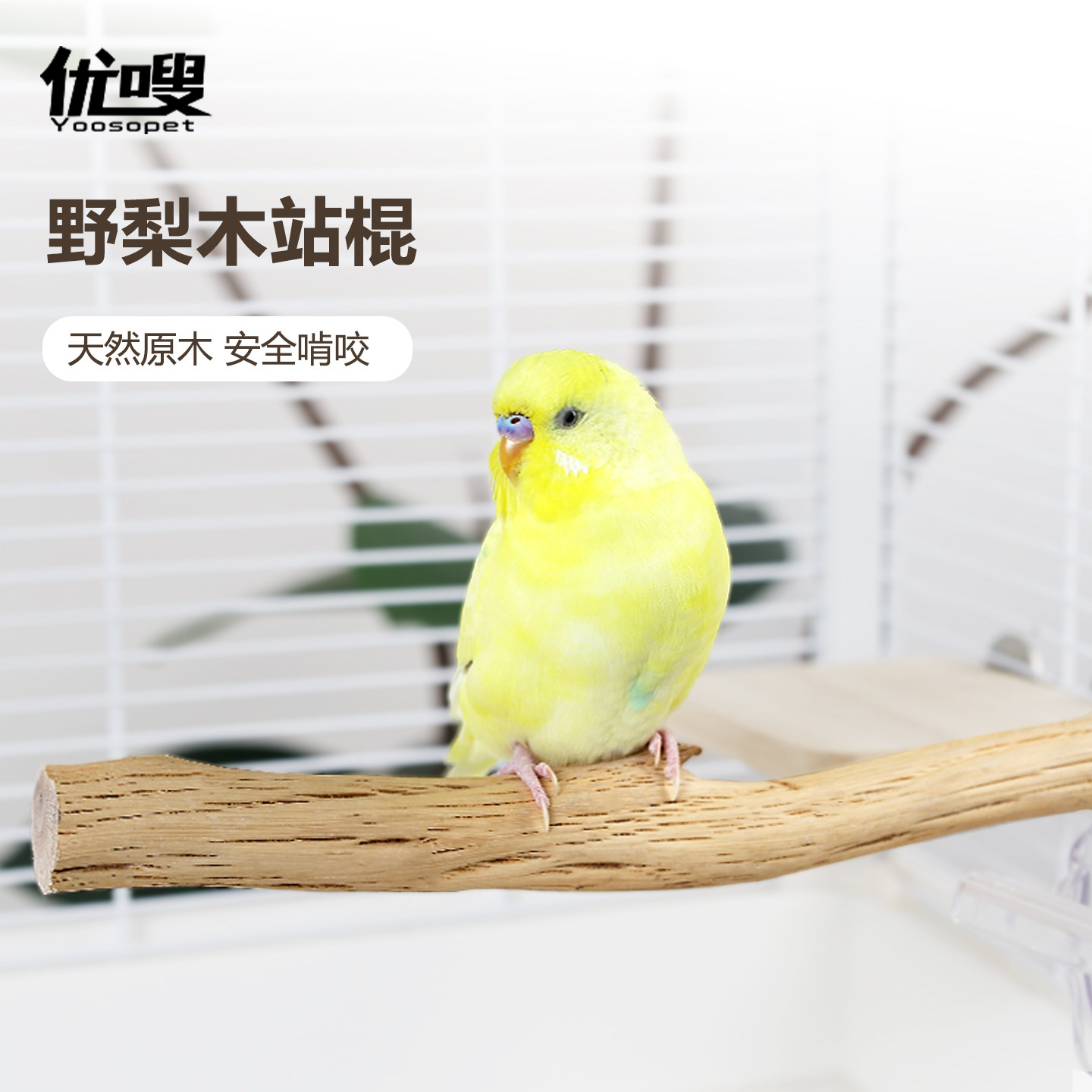 优嗖鹦鹉野梨木实木磨嘴鸟笼站杆站棍自然树枝玄凤牡丹虎皮站杆