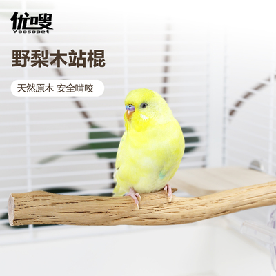 优嗖鹦鹉野梨木实木磨嘴鸟笼站杆站棍自然树枝玄凤牡丹虎皮站杆