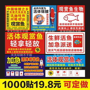 观赏鱼贴纸定制特殊活体鱼轻拿轻放不干胶快递警提示勿压勿摔标签