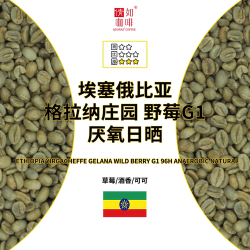 埃塞咖啡生豆野莓G196h厌氧日晒