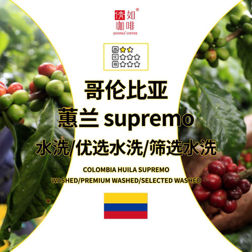 倩如咖啡生豆哥伦比亚蕙兰水洗