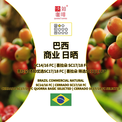 巴西咖啡生豆喜拉朵商业日晒