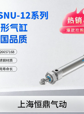 FETSO 费斯托圆形气缸 DSNU-12-10-20-25-50-80-100-160-200-P-A