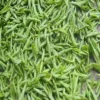 Товары от 四季青茶业