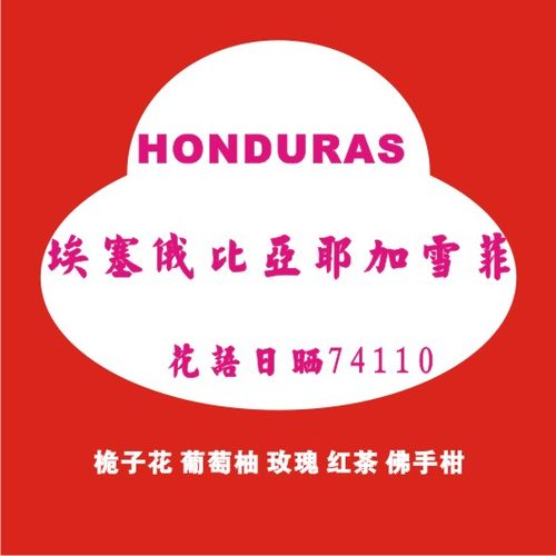 新产季埃塞俄比亚耶加74110花语日晒花香满腔500包邮免费生豆代焙