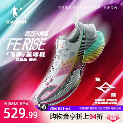乔丹FERISE飞羿碳板篮球鞋
