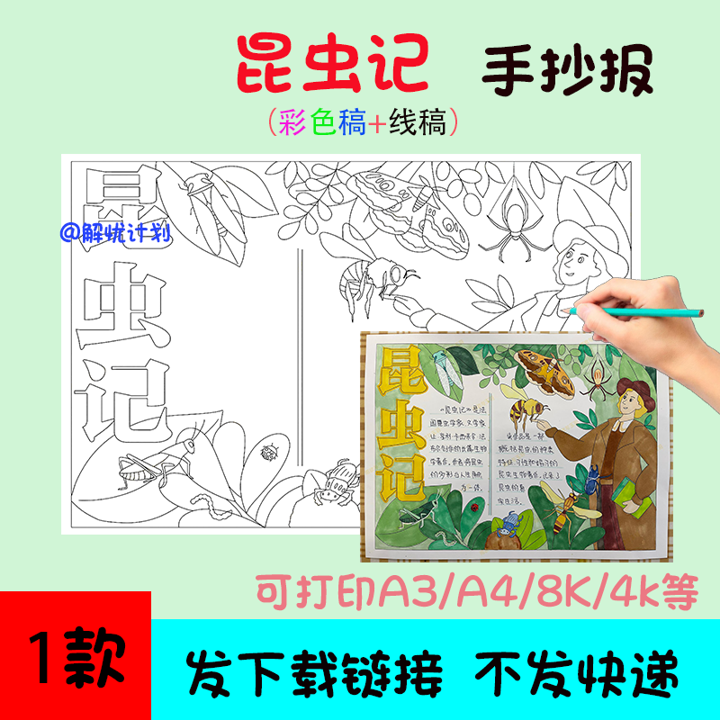 暑假阅读昆虫记手抄报电子稿模板A3/A4/8K好书推荐线稿5