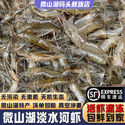 【微山湖源头捕捞】小河虾淡水新鲜鲜活青虾水产急冻草虾醉虾土虾