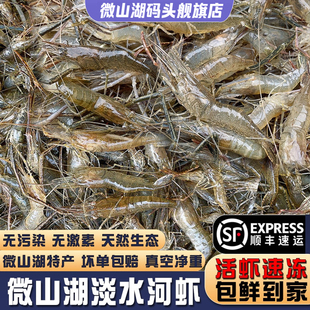 【微山湖源头捕捞】小河虾淡水新鲜鲜活青虾水产急冻草虾醉虾土虾