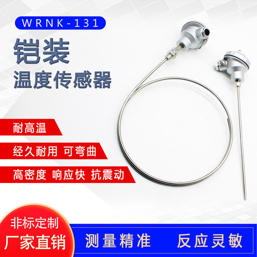 铠装电热偶温度传感器探头pt100