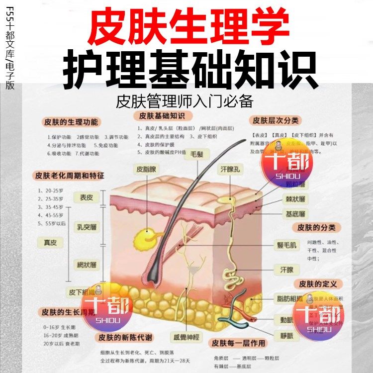 认识皮肤结构分析生理学基础知识痤疮去痘印敏感肌美容护肤管理技