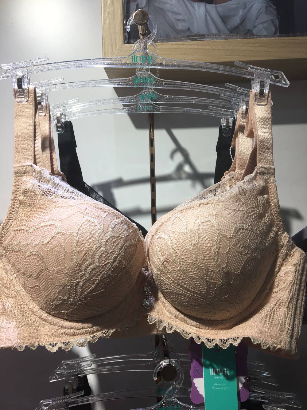 水中花818071女士三排扣上薄下厚聚拢文胸上托小胸调整内衣