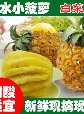 新鲜小菠萝香水菠萝除味小凤梨