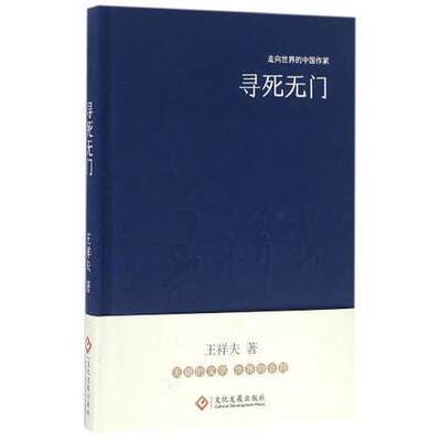 寻死无门王祥夫精装