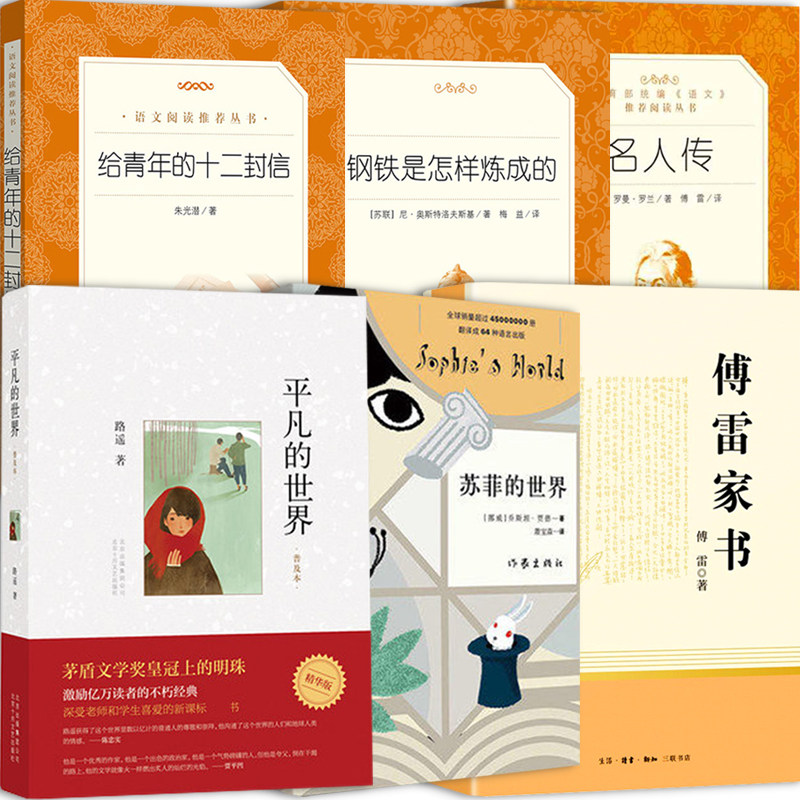 八年级下课外阅读书籍全套6册 钢铁是怎样炼成傅雷家书苏菲的世界给青年的十二封信平凡的世界名人传 世界名著原著人民文学出版社