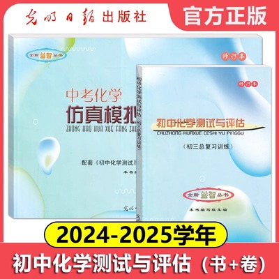 2024-2025学年初中化学测试评估