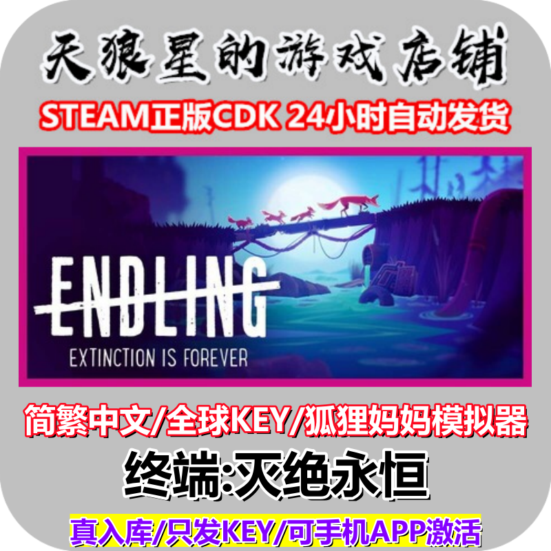 STEAM/终端灭绝永恒/全球key