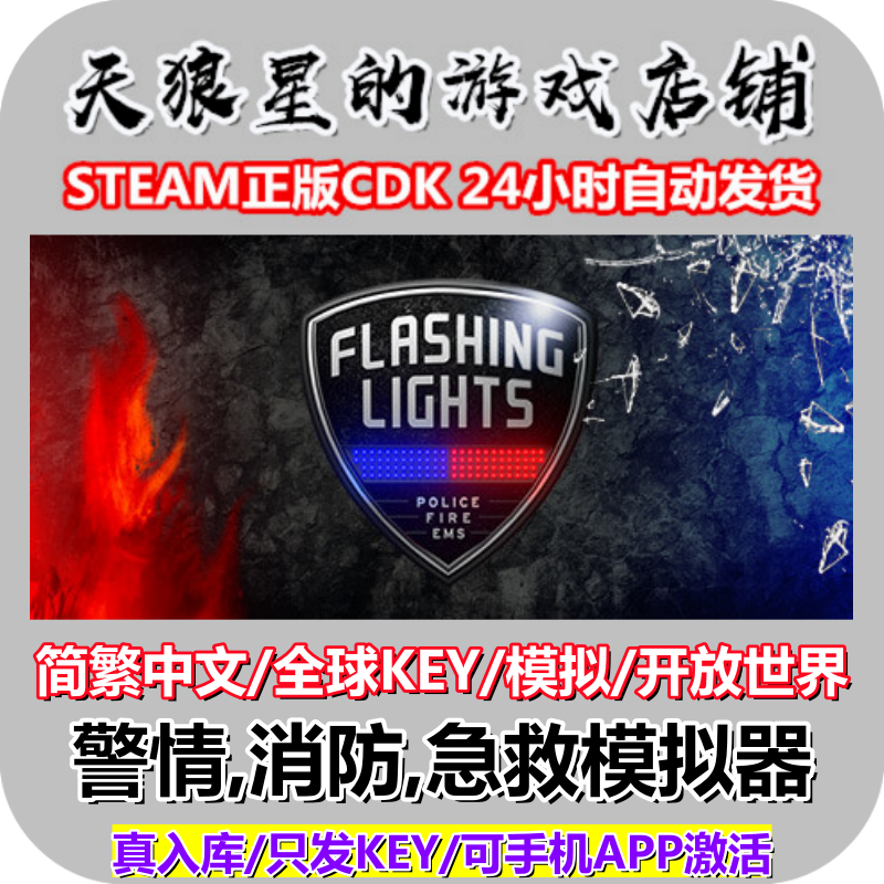 STEAM正版/警情,消防,急救模拟器