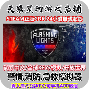 STEAM正版/警情,消防,急救模拟器/Flashing Lights/全球key