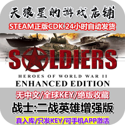 STEAM/战士二战英雄/全球/绝版