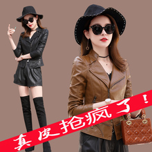 外套秋冬季 皮衣夹克修身 款 海宁女士短款 2019正品 真皮皮衣韩版