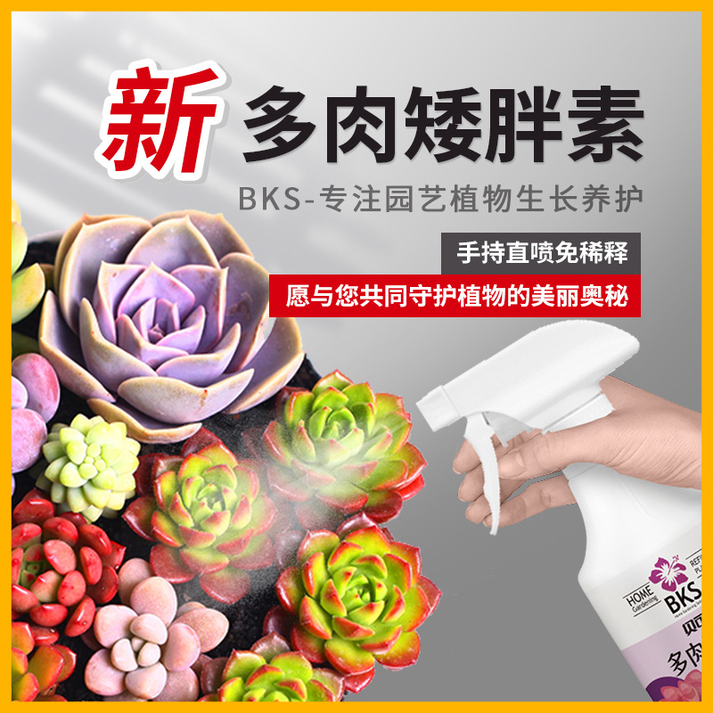 多肉矮胖素矮壮剂控旺剂增色防徒